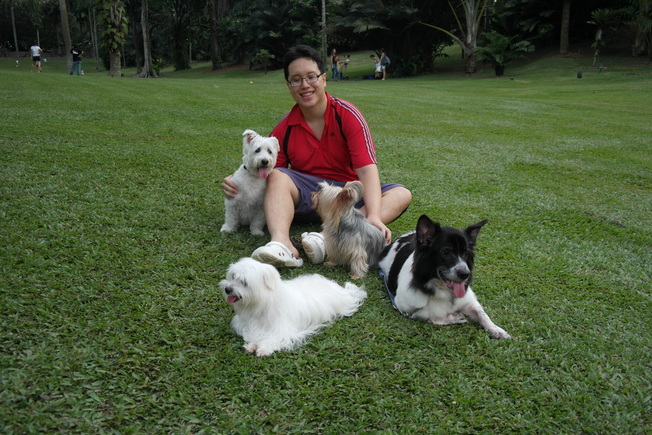 Another group picture of the 4 dogs in singapore