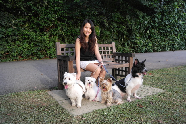 4 dogs sitting nicely at Singapore botanic gardens